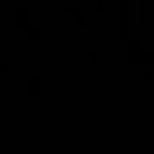 Meet your Posher, Gracie